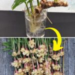 Nos conseils super simples pour conserver les herbes fraîches plus longtemps.