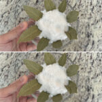 Le Moyen le Plus Rapide de se Débarrasser de la Moisissure du Silicone de Douche 🚿🧼
