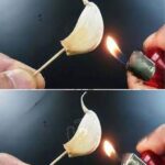 Ajoutez de l’aspirine ou du poivre noir dans votre machine à laver pour laver parfaitement vos vêtements