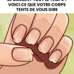 🛎️ Un employé d’hôtel révèle 8 choses à ne jamais faire lorsque vous séjournez dans un hôtel