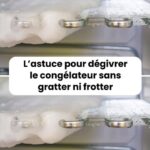 🪳 Pourquoi vous devriez laisser ce petit insecte chez vous : le Scutigère véloce, un allié discret mais redoutable