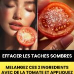 🦎 Un lézard s’invite chez vous : décryptage de ses symboles cachés
