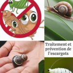 L’astuce surprenante de ma grand-mère pour sublimer ses plats avec un oignon et des clous de girofle