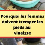 🌿 Cette plante méconnue de votre jardin recèle des vertus étonnantes : le plantain, le trésor caché de la nature 🍃✨