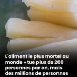 Ne jetez pas les pelures de gingembre ! Voici pourquoi vous devriez les conserver – 7 Surprising Benefits