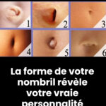 Pourquoi les vaches ont-elles des hublots ? La raison vous surprendra
