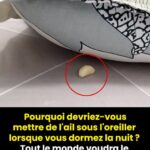 Alcool à l’ail : comment fabriquer un insecticide maison contre les pucerons, cochenilles et autres insectes