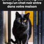 Découvrez comment un simple mélange d’eau, de vinaigre et de sel peut nettoyer l’énergie de votre maison