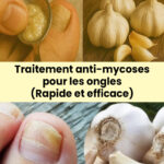 Découvrez l’astuce culinaire qui va révolutionner vos plantes d’intérieur 🌿✨