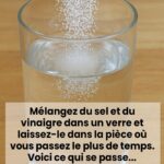 🐾 Un chat noir franchit votre seuil : signification cachée ou simple coïncidence ?