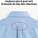 La Mante Religieuse : Un Message Spirituel de l’Univers ?