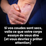 Adieu cochenilles, pucerons, escargots et autres nuisibles – un seul ingrédient suffit !