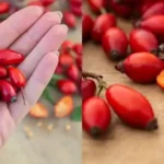 Ne jetez pas les pelures de gingembre ! Voici pourquoi vous devriez les conserver – 7 Surprising Benefits