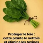 Chou sauté (avec bacon, oignon et ail) : un plat réconfortant qui divise les avis ?