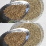 Éliminez définitivement les asticots de votre poubelle avec ces 4 techniques redoutables