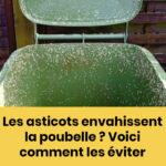 Je ne pense même plus à frotter mon four sale : un ami m’a appris cette astuce, et maintenant c’est comme neuf et sans effort !