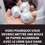 Les astuces les plus efficaces pour faire fleurir le cactus de Noël toute l’année