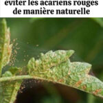 Voici pourquoi vous devriez mettre une boule de papier aluminium avec le linge sale dans la machine à laver…