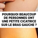 Solutions naturelles pour chasser nuisibles et parasites de votre habitat