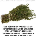 La plupart des gens commettent ces 5 erreurs d’habillement sans s’en rendre compte