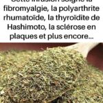 🛁 Astuce pour éliminer le savon, la moisissure et le calcaire des carreaux de salle de bain