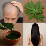 Solutions naturelles pour chasser nuisibles et parasites de votre habitat