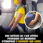 🦎 Des lézards domestiques indésirables ? Nos astuces naturelles pour les éloigner