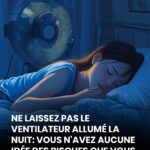 🌿 Une plante oubliée pour apaiser votre digestion et régénérer votre foie