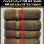 Découvrez l’astuce surprenante à base d’huile pour bébé et de girofle contre les moustiques
