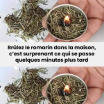 10 astuces méconnues pour exploiter le papier aluminium comme jamais
