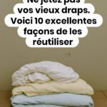 Pourquoi le jaune d’œuf dur prend-il une couleur verdâtre ? Nos solutions