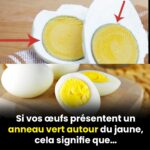 10 idées créatives pour transformer vos vieux draps en accessoires déco pratiques