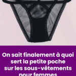 Le clou de girofle : une pépite bienfaisante aux multiples atouts pour votre santé