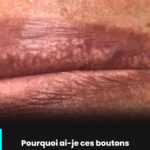 Pourquoi les chiens penchent-ils la tête quand on leur parle ?