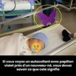 Soie de maïs : 30 bienfaits pour la santé et comment l’utiliser