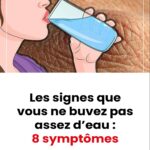 L’emblème mauve en néonatalogie : une marque de tendresse et de chagrin muet