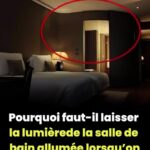 🚽 Ne tirez jamais la chasse d’eau après avoir uriné : c’est une grave erreur
