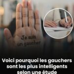 🐛 La présence d’un mille-pattes chez vous : un symbole aux significations insoupçonnées