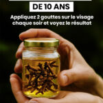 🧬 Cette vitamine méconnue pourrait bien révolutionner votre bien-être