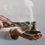 Comment conserver les myrtilles fraîches à la maison pendant plusieurs mois