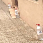 La Recette Ultime de la Courgette Hasselback