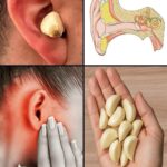 3 raisons pour lesquelles les femmes dorment mieux aux côtés d’un chien que d’un humain, selon une étude