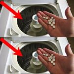 Quand cesser de conduire ? Les clés pour un choix réfléchi