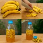 🌺 La plupart des gens ignorent la signification du port d’un bracelet de cheville