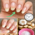 Voici à quoi sert le petit bouton situé sur la ceinture de sécurité