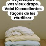 🐱 Si votre chat a la peau du ventre qui pend, voici ce que cela signifie !