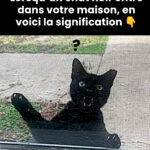 Votre rituel quotidien sous la douche : une habitude bénéfique ou un risque pour votre peau ?