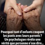 Pourquoi les toilettes pour femmes ont un espace vide devant aux États-Unis ?