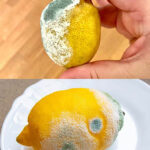 Voici à quoi servent vraiment les bandes sur vos serviettes de bain