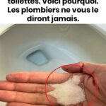 Le secret pour garder vos citrons frais trois fois plus longtemps 🍋✨